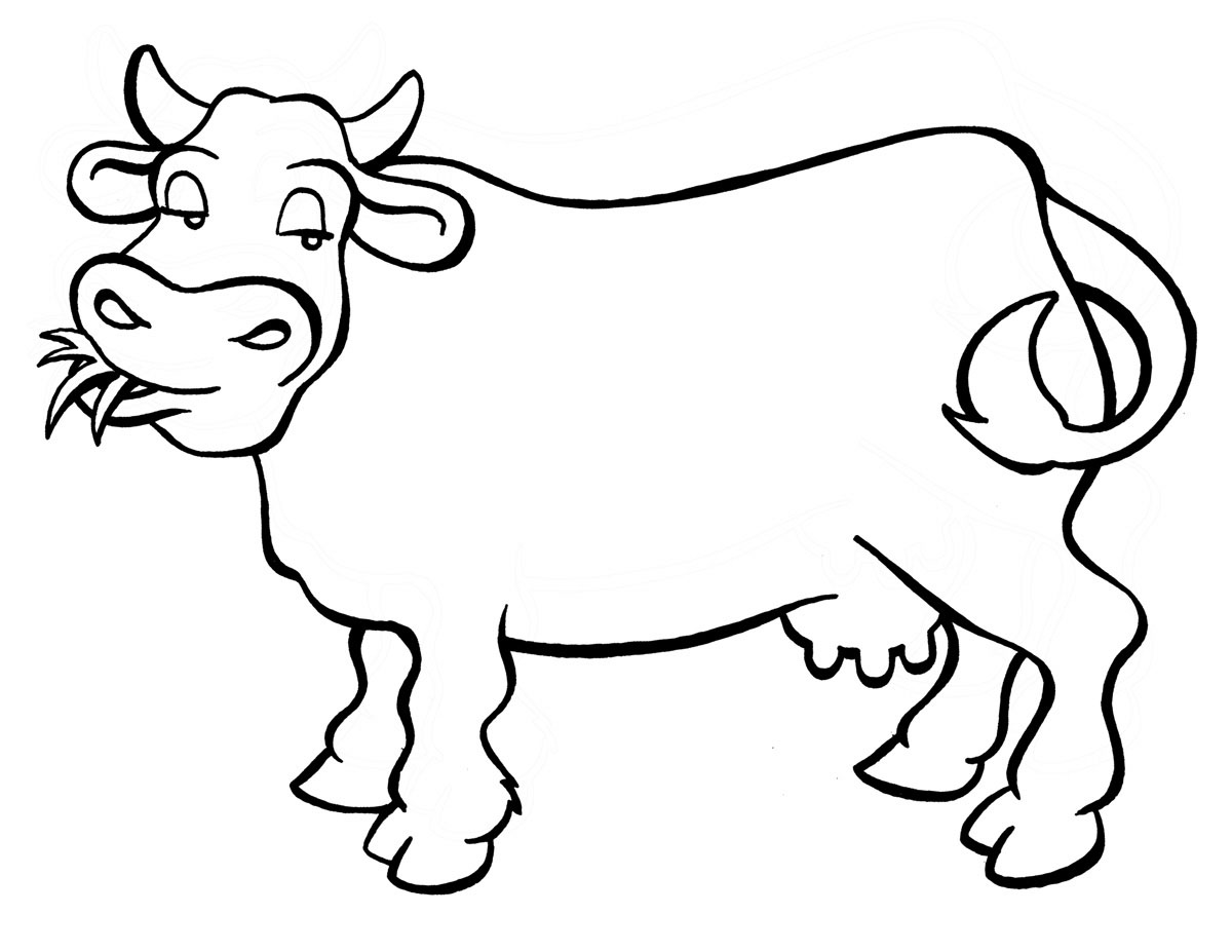 planse desene de colorat vaca vitel taur bou